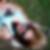 Photo de profil de Cassandre Dewintre