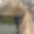 Photo de profil de Eric Saint Sulpice
