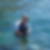 Photo de profil de Anthony Ville
