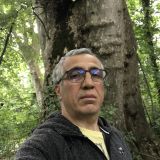 Photo de profil de Bruno Simon