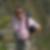 Photo de profil de Dany Riviere