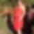 Photo de profil de Yvette Demailly