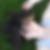 Photo de profil de Laurène Gros--Vassent