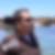 Photo de profil de Michael Dibbern