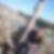 Photo de profil de Stephany Lasson