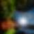 Photo de profil de Raymond Humbert
