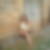 Photo de profil de Florence Bolley