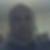 Photo de profil de Dominique Fevre