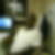 Photo de profil de Samuel Zenon Lewis