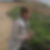 Photo de profil de Annie Ganne