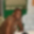Photo de profil de William Eschylle