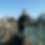 Photo de profil de Guy Albanese