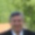 Photo de profil de Dominique Despas