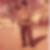 Photo de profil de Louis Cauvin