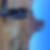 Photo de profil de Djamel Bennaceur