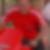 Photo de profil de William Green