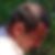 Photo de profil de Bernard Nigond