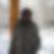 Photo de profil de Hawo Ann
