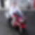 Photo de profil de Madgid Lounis