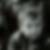 Photo de profil de Eddie Molenberghs