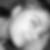 Photo de profil de Lauriane Martin