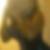 Photo de profil de Tadjidne Gerbet