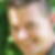 Photo de profil de Gontran Legay
