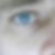Photo de profil de Thomas Giboulet