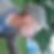 Photo de profil de Maxie Gaget
