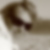 Photo de profil de Leslie Laplace