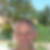 Photo de profil de Patrice Wolowiec