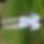 Photo de profil de Serge Cossou