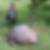 Photo de profil de Cecile Pithon