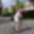 Photo de profil de Jean Paul Bohin