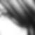 Photo de profil de Lily Boo