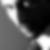 Photo de profil de Jimmy Adin