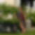 Photo de profil de Veronique Stadler