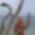 Photo de profil de Ginette Diphe