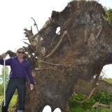 Photo de profil de Christian Herve