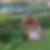 Photo de profil de Susanne Bramham Evershed