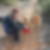 Photo de profil de Sophie Duvet