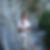 Photo de profil de Crinaurio Fernandes