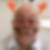 Photo de profil de Stéphane Olivieri