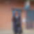 Photo de profil de Anne Lemasson