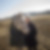 Photo de profil de Marianne Augot