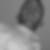 Photo de profil de Laurent Bardin
