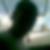 Photo de profil de Jules Marin