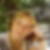 Photo de profil de Sophie Bodin