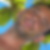 Photo de profil de Yoann Boussiere