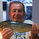 Photo de profil de Philippe Dufour